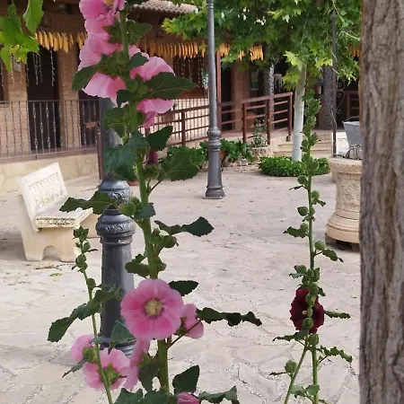 Rincon Del Cierzo Lécera